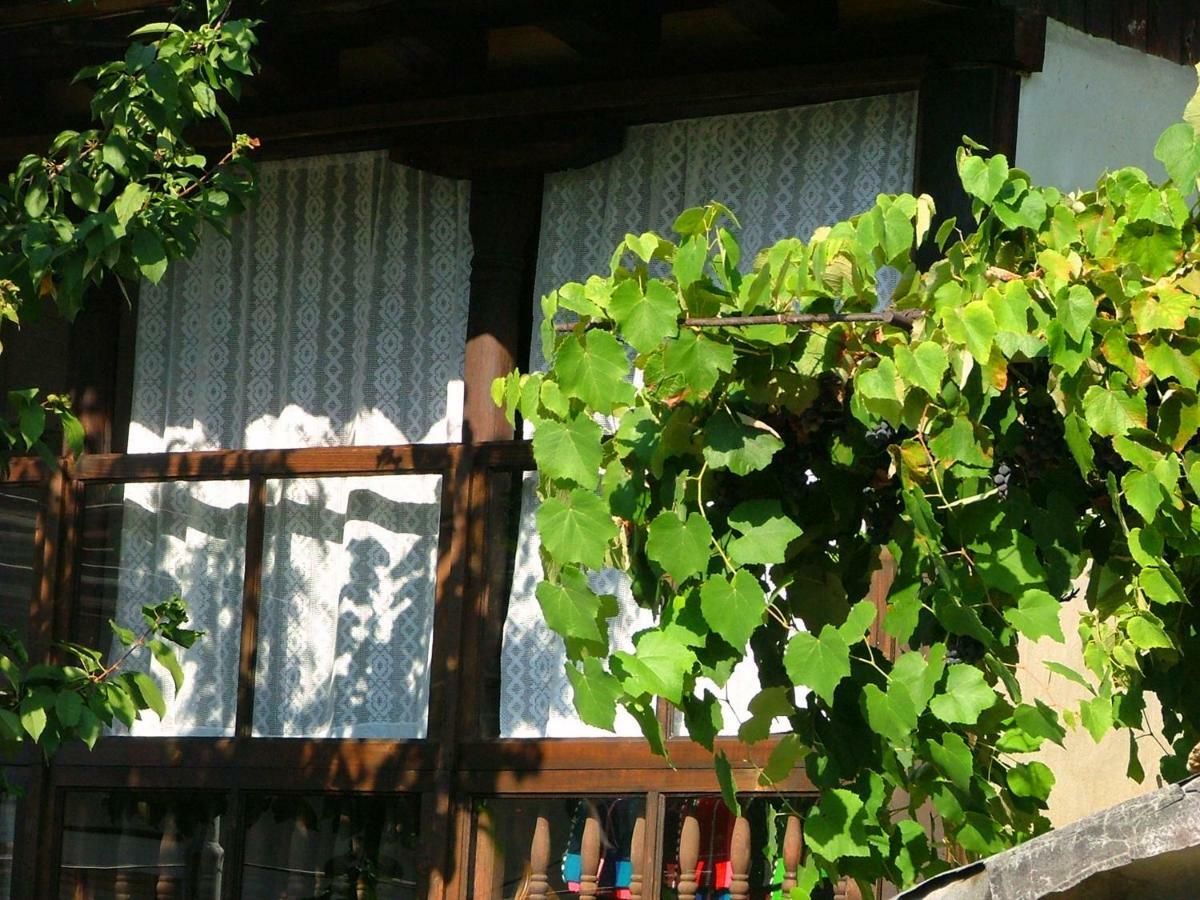 The Tinkov House In Lovech Luaran gambar